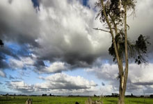 开云官网-魔术险胜雄鹿，周琦扛起全队