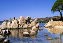 开云体育-勇士B队逆袭掘金，萨博尼斯炽热表现点燃战火