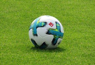 开云体育APP下载-国米轻取波尔图，莱万扑点救主德甲