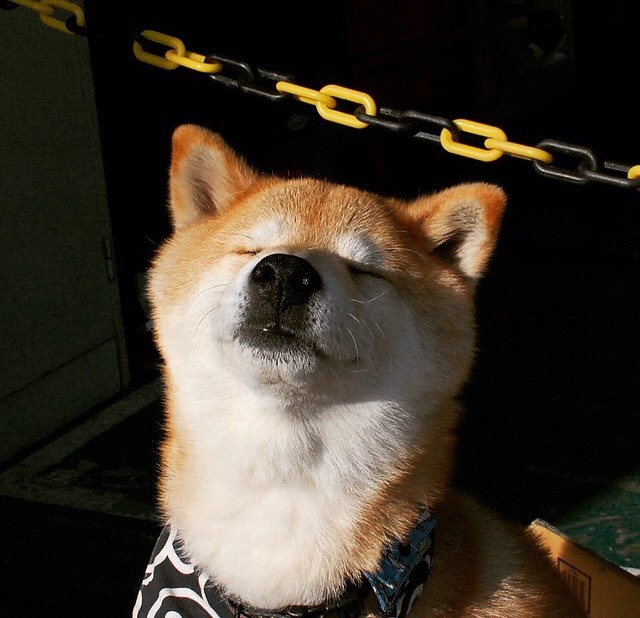 开云体育入口-年度焦点之战，当三分雨浇熄高原之火，老鹰用现代篮球给掘金上了一课