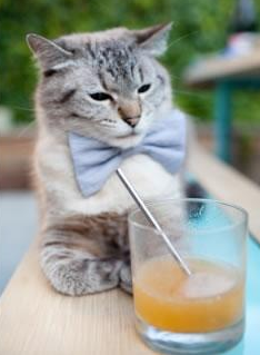 开云体育-湖人强压76人，贝恩掌控全场，带动全队交响乐般的胜利节奏